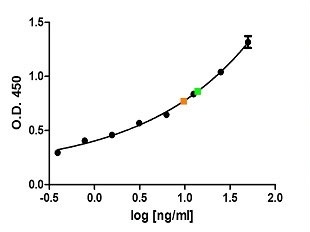Sandwich ELISA analysis of human ferritin using Mouse anti Human collagen I/II/III antibody, clone NLI/22 as a capture reagent and biotinylated Mouse anti Human collagen I antibody, as a detection reagent with native human collagen as antigen. Detection is by HRP conjugated streptavidin and substrate. Microtitre plate is read at O.D. 450 nm on the Bio-Rad iMark Microplate Absorbance Reader. Normal serum (green) and plasma (orange) samples are included diluted 1:4.